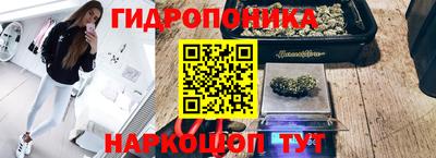 стаф Гусиноозёрск