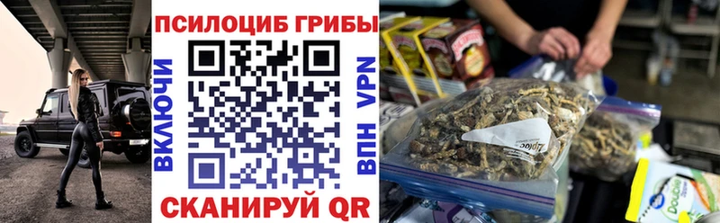 магазин    Череповец  Псилоцибиновые грибы Psilocybe 